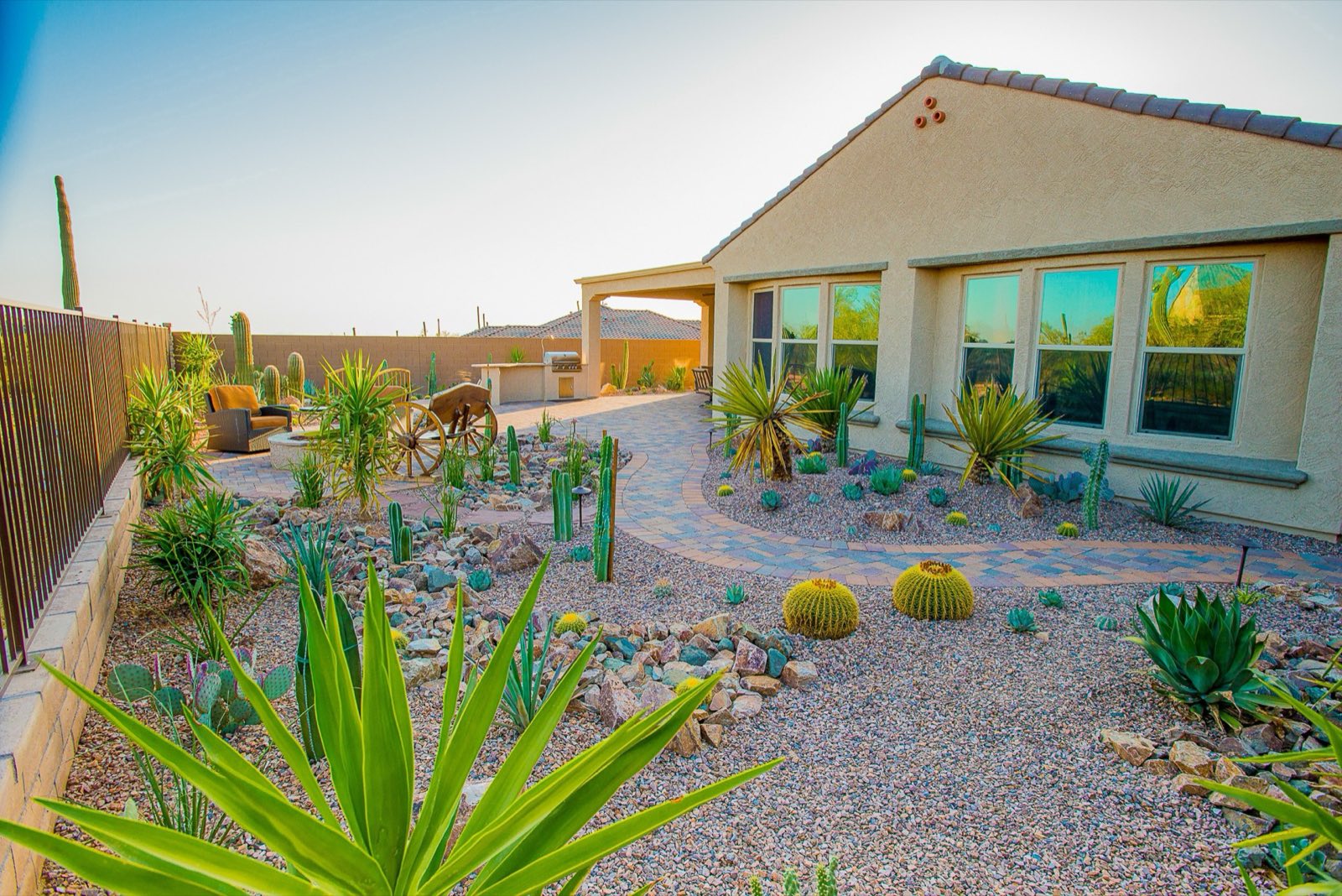 Desert landscape design with paver walkway and cactus garden at a Tucson home